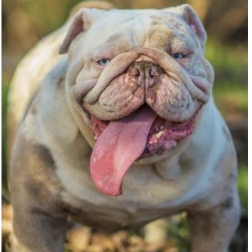 Have questions? contact us